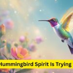 Hummingbird Spiritual meaning