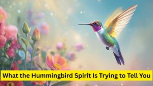 Hummingbird Spiritual meaning